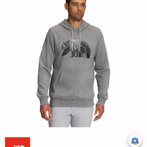 Patagonia Gray Hoodie with Bear Design